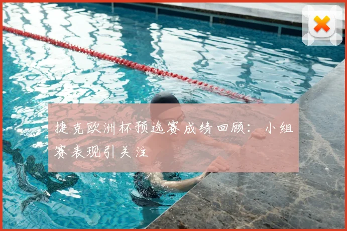 捷克欧洲杯预选赛成绩回顾:小组赛表现引关注