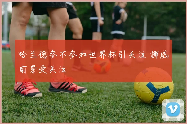 哈兰德参不参加世界杯引关注 挪威前景受关注