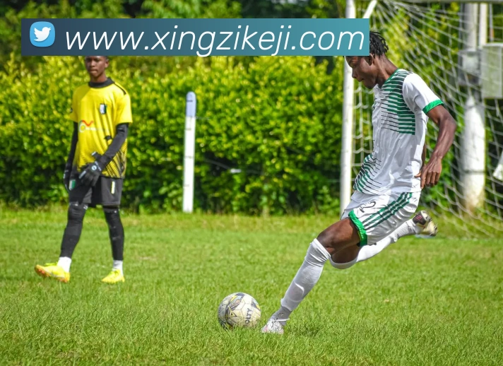 世界杯体育app官网服务体系